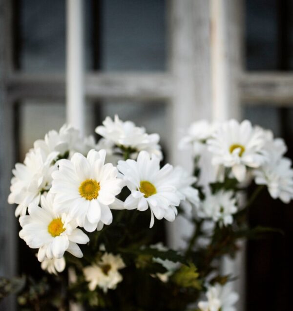 Bouquet di Margherite